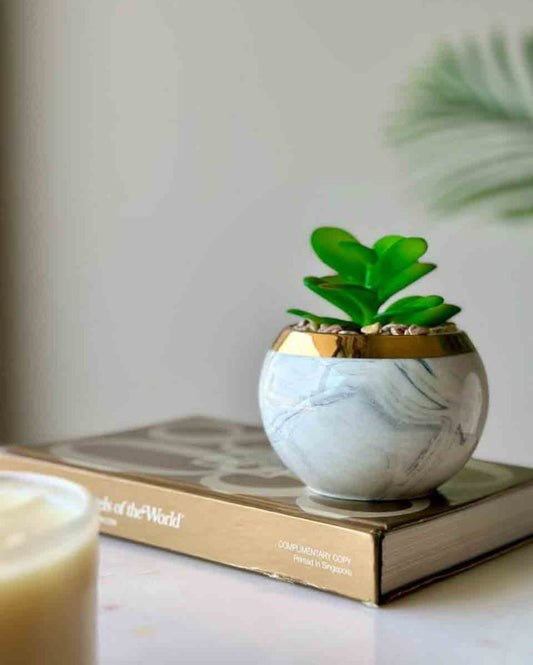 Artificial Swirl Crasulla Succulent With Ceramic Pot