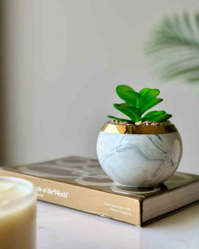 Artificial Swirl Crasulla Succulent With Ceramic Pot | White | 4 inches