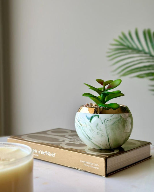 Artificial Swirl Succulent With Ceramic Pot