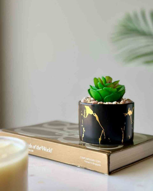 Artificial Aloe Succulent With Ceramic Pot