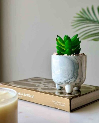 Artificial Moonglow Succulent With Ceramic Pot | 6 inches