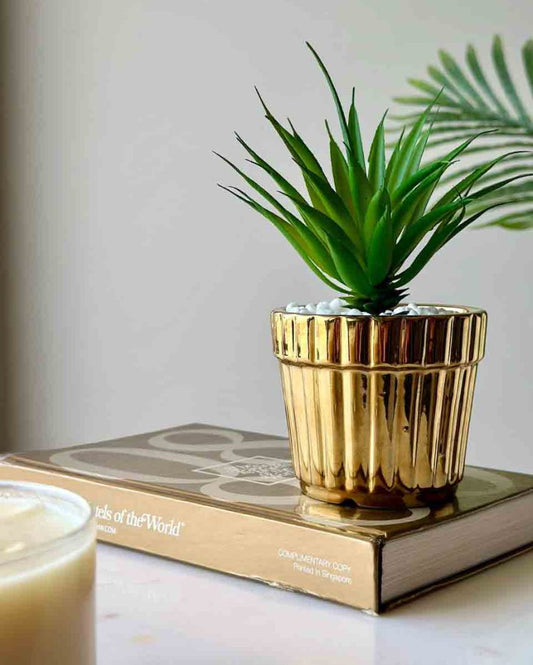 Artificial Havana Succulent With Ceramic Gold Pot