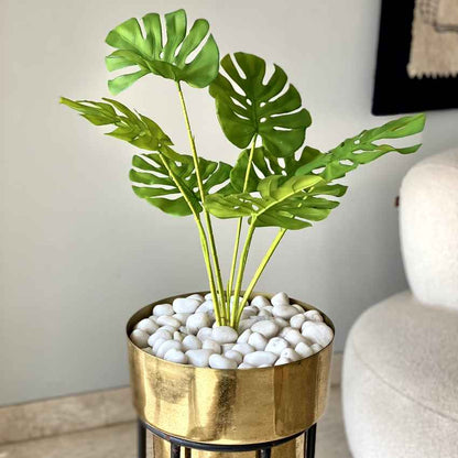 Artificial Green Shade Monstera Plant Without Pot | 2 Feet