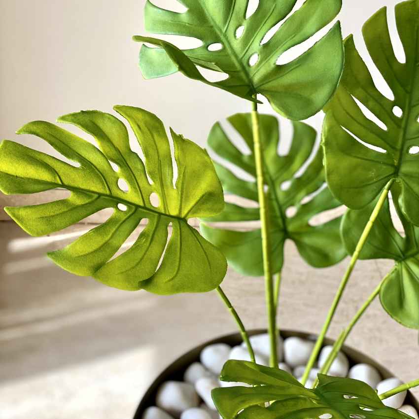 Artificial Green Shade Monstera Plant Without Pot | 2 Feet