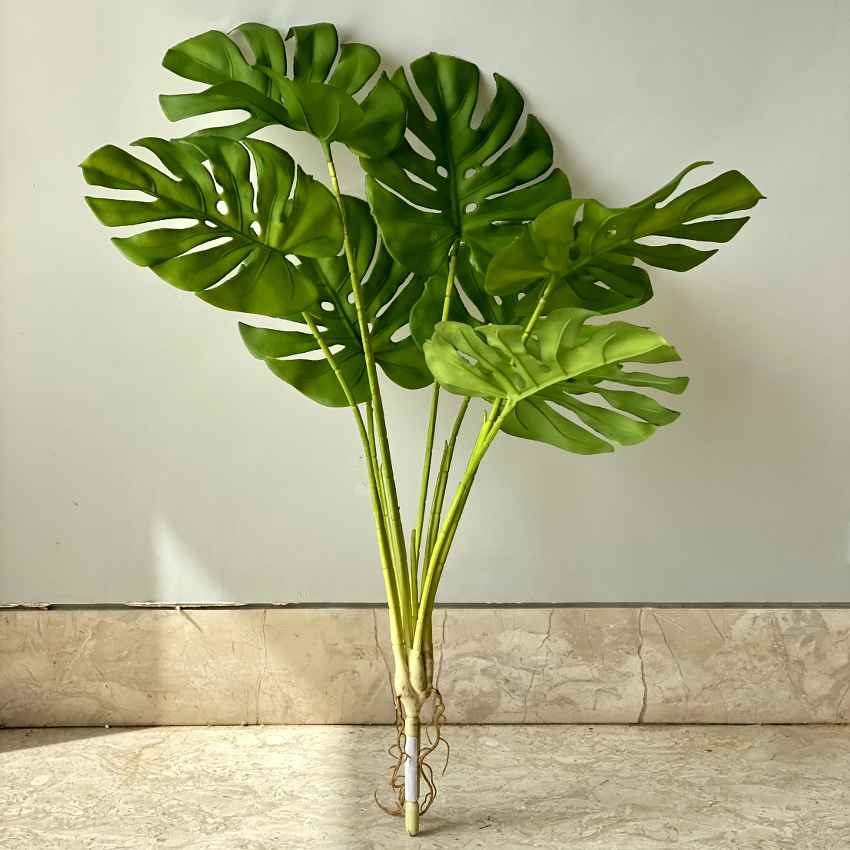 Artificial Green Shade Monstera Plant Without Pot | 2 Feet