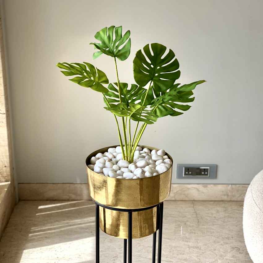 Artificial Green Shade Monstera Plant Without Pot | 2 Feet