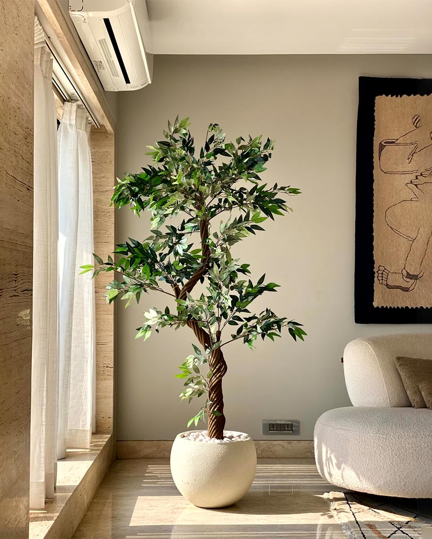 Majestic Twisted Ficus Tree Artificial Tall Plant Without Pot | 6 Feet