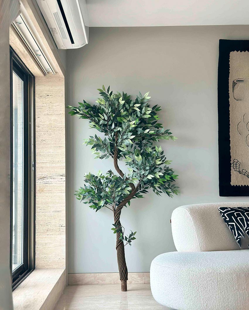 Majestic Twisted Ficus Tree Artificial Tall Plant Without Pot | 6 Feet