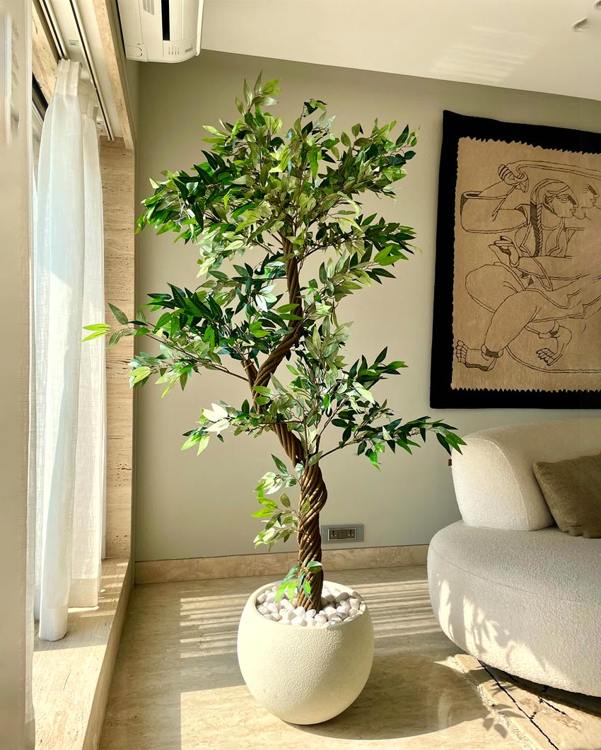 Majestic Twisted Ficus Tree Artificial Tall Plant Without Pot | 6 Feet