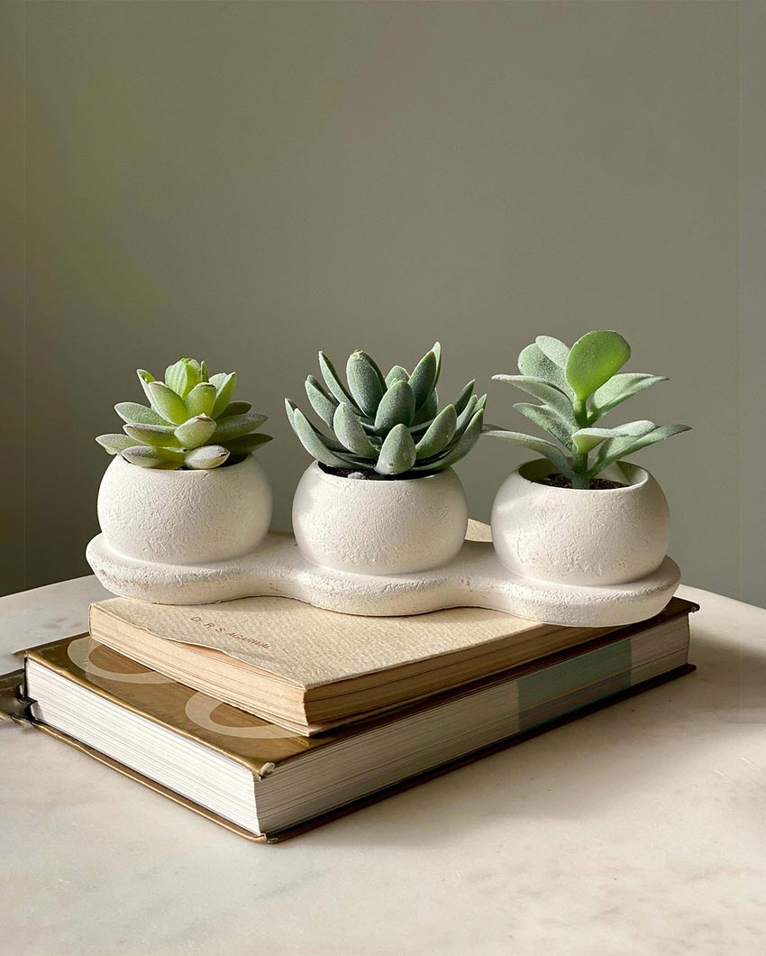 Green Succulent Artificial Plant with Pot