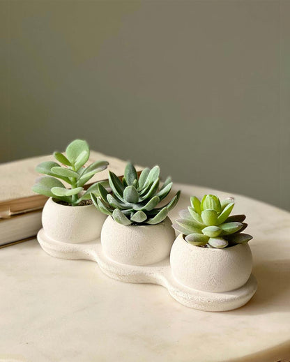 Green Succulent Artificial Plant with Pot