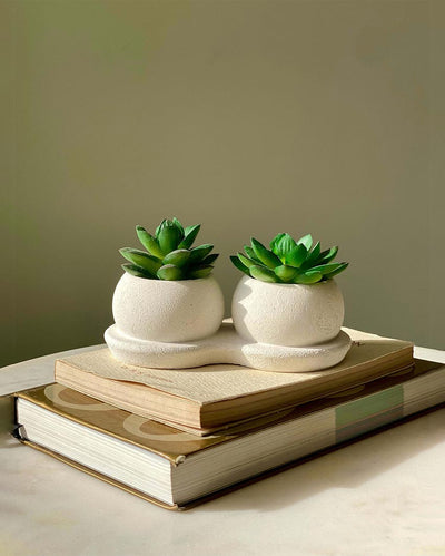 Charming Green Twin Succulent Artificial Plant With Pot | Green | 6 x 3 x 3 inches