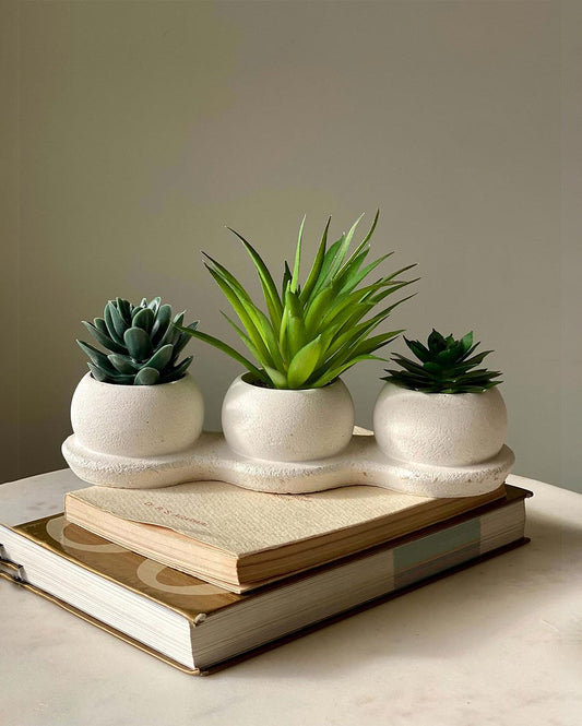 Vibrant Green Trio Succulent Artificial Plant With Pot | Green | 9 x 3 x 5 inches