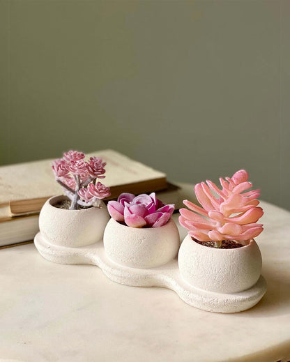 Delicate Pink Trio Succulent Artificial Plant With Pot | Pink | 9 x 3 x 4 inches