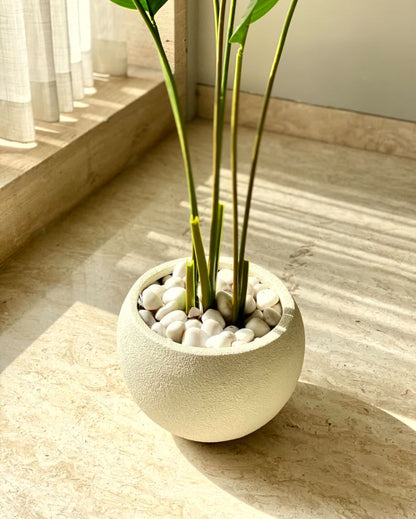 Lithos  Ivory Fiber Glass Planters | 14 x 12 inches