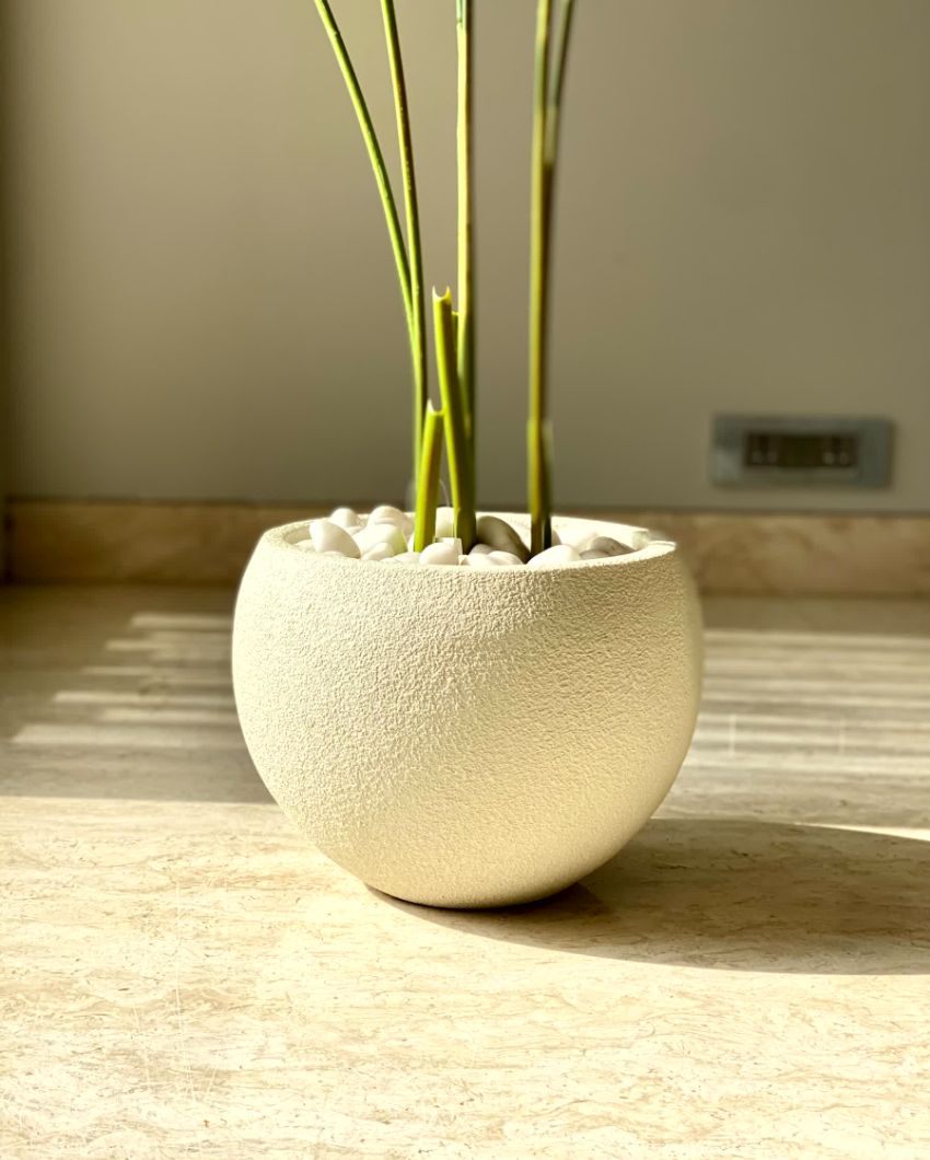 Lithos  Ivory Fiber Glass Planters | 14 x 12 inches