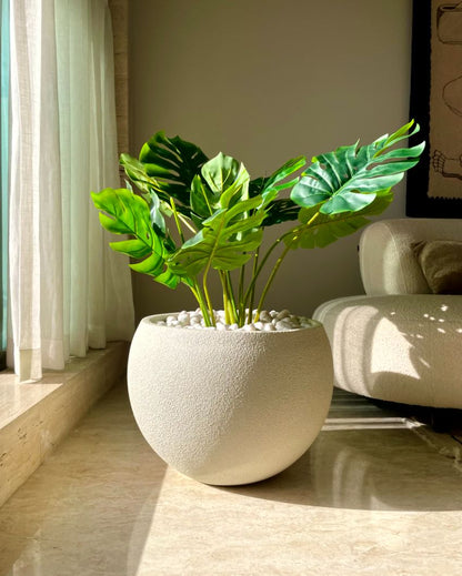 Lithos  Ivory Fiber Glass Planters | 14 x 12 inches