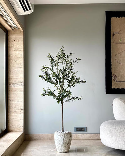 Graceful Olive Tree Artificial Tall Plant Without Pot | 5 Feet