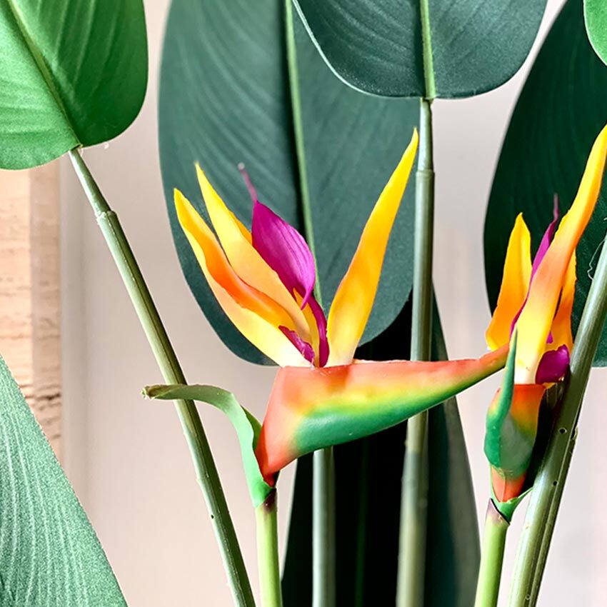 Stunning Green Strelitzia Pvc Artificial Plant Without Pot | 5 Feet