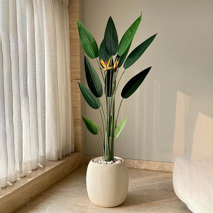 Stunning Green Strelitzia Pvc Artificial Plant Without Pot | 5 Feet