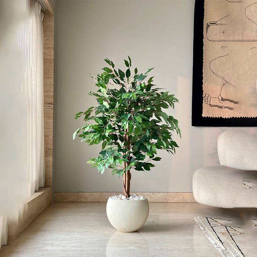 Realistic Green Weeping Ficus Pvc Artificial Plant Without Pot | 4 Feet