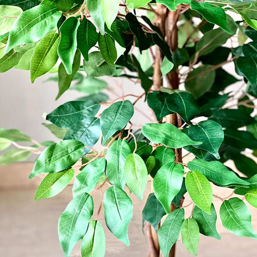 Realistic Green Weeping Ficus Pvc Artificial Plant Without Pot | 4 Feet