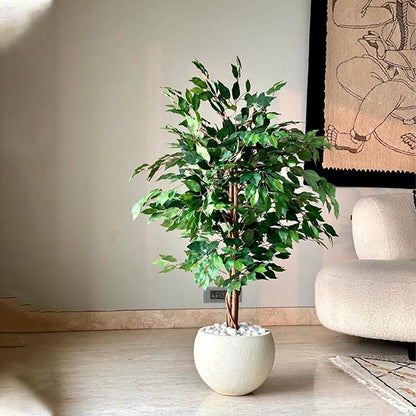 Realistic Green Weeping Ficus Pvc Artificial Plant Without Pot | 4 Feet