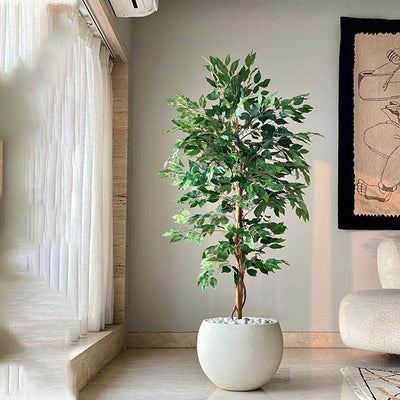 Beautiful Green Weeping Ficus Pvc Artificial Plant Without Pot | 5 Feet