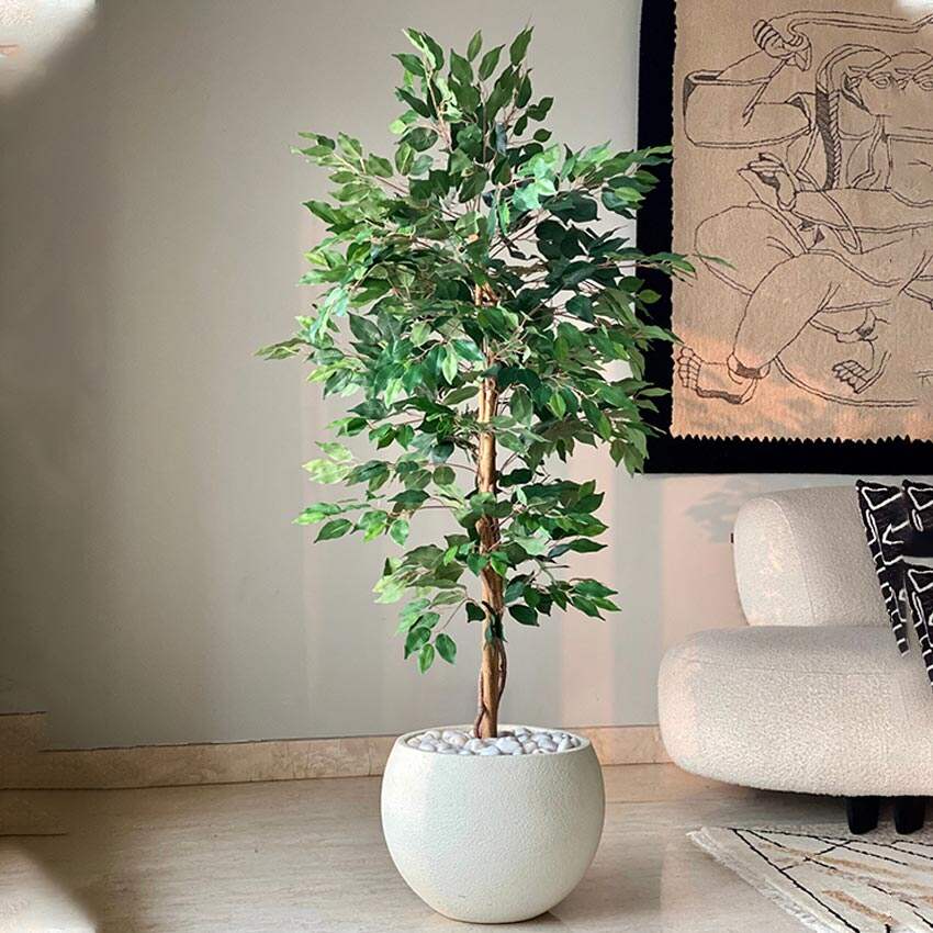 Beautiful Green Weeping Ficus Pvc Artificial Plant Without Pot | 5 Feet