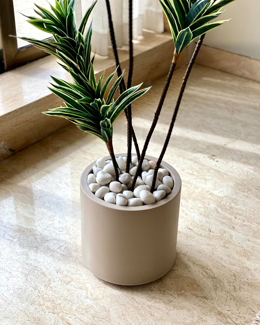 The Versatile Plastic Oasis Planter Wihtout Plant | Beige | 10 x 10 inches