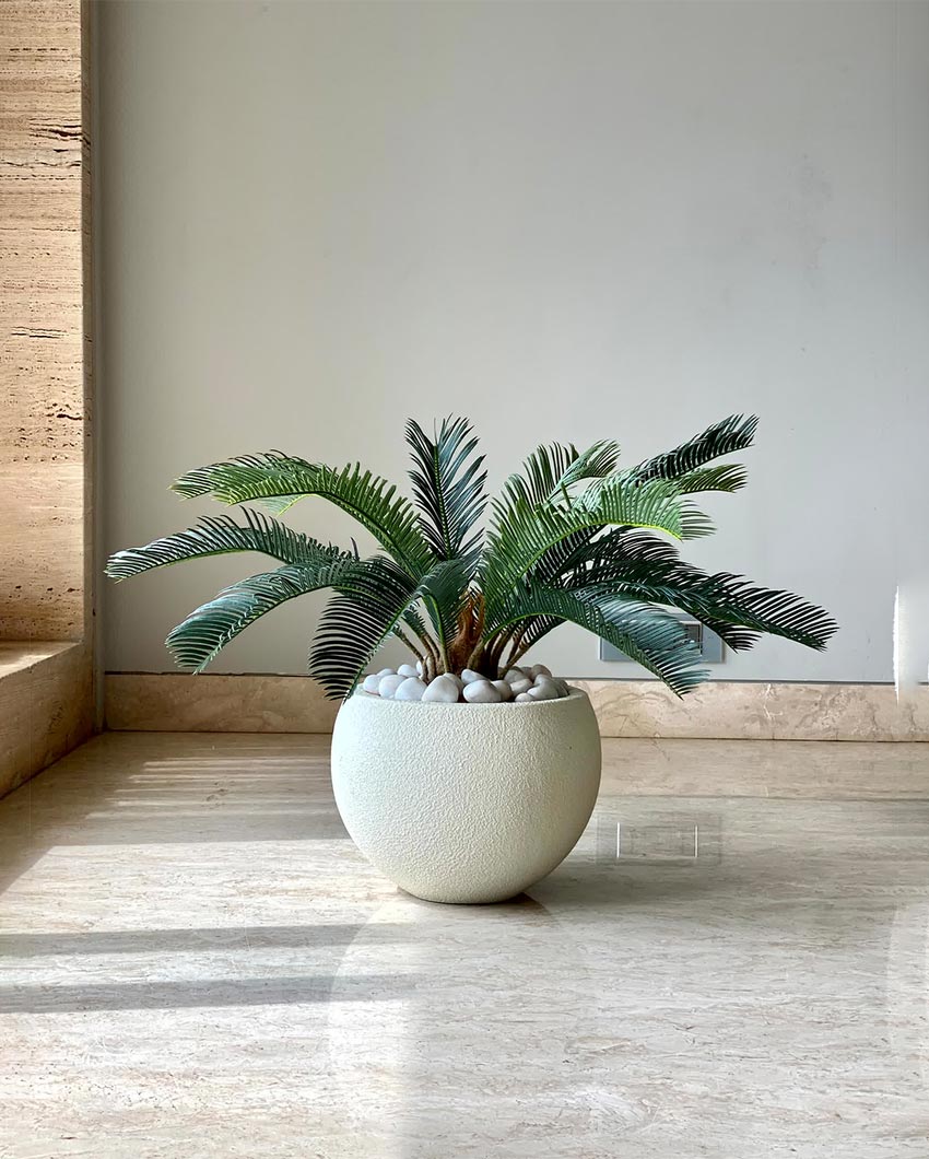 Compact Cycas Plant Artificial Short Plant Without Pot  | Green | 2 Feet