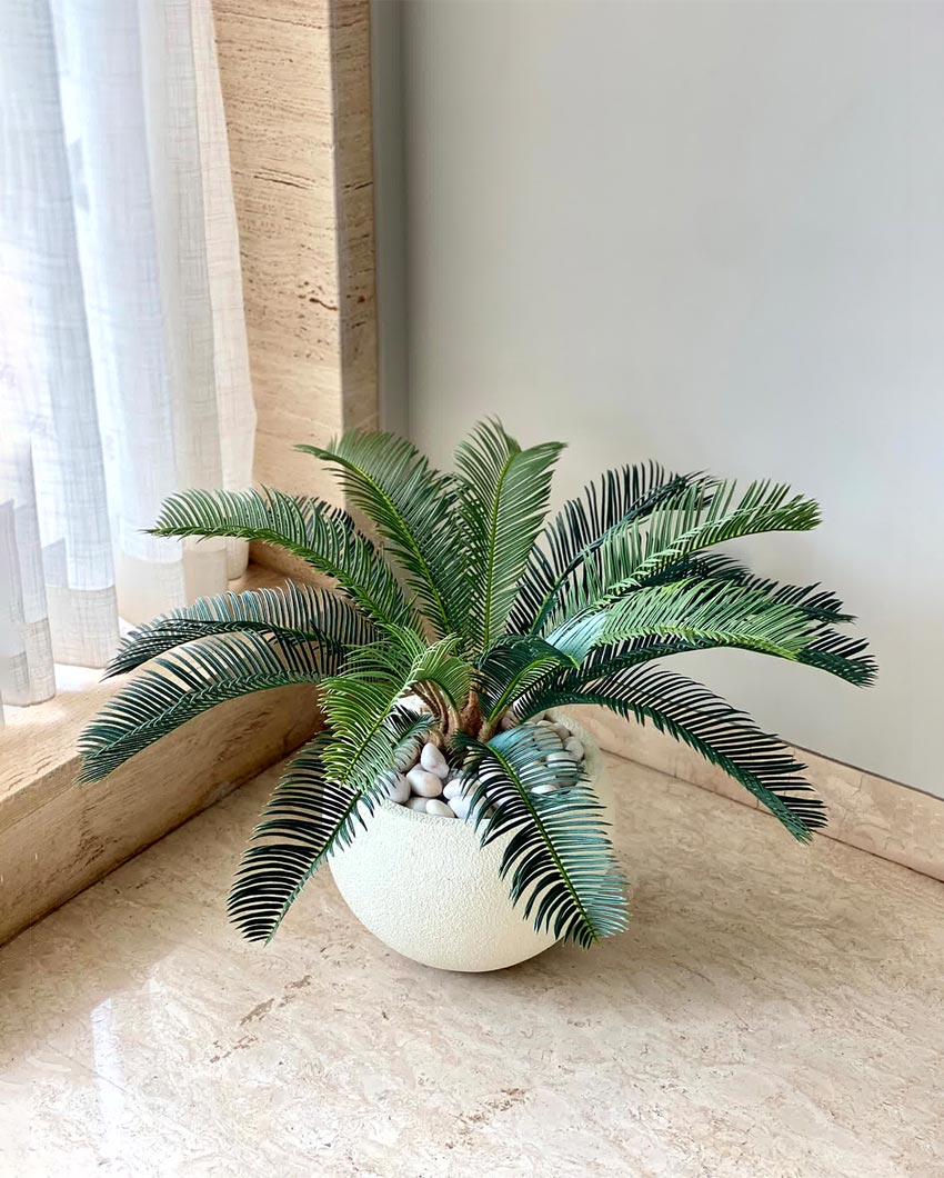 Compact Cycas Plant Artificial Short Plant Without Pot  | Green | 2 Feet