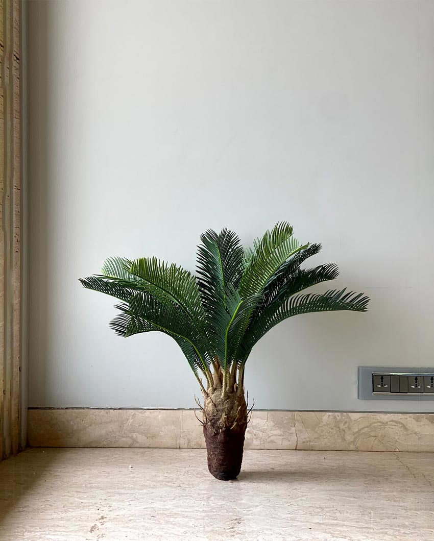 Compact Cycas Plant Artificial Short Plant Without Pot  | Green | 2 Feet