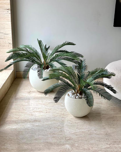 Petite Cycas Plant Artificial Short Plant Without Pot | Green | 3 Feet