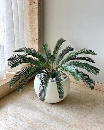 Petite Cycas Plant Artificial Short Plant Without Pot | Green | 3 Feet