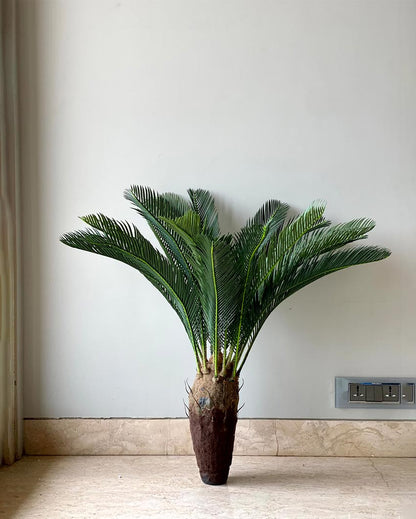 Petite Cycas Plant Artificial Short Plant Without Pot | Green | 3 Feet