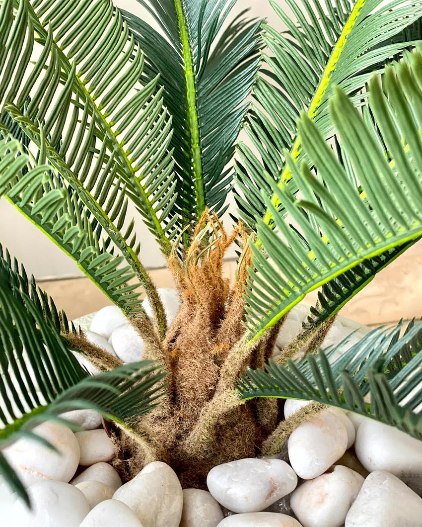 Petite Cycas Plant Artificial Short Plant Without Pot | Green | 3 Feet