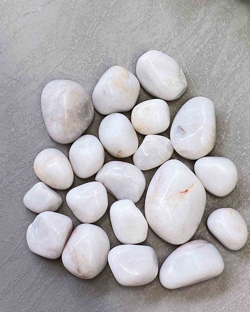 Pebbles of Wisdom | Pack of 60