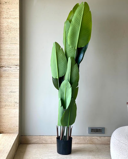 Transform Your Space with Artificial Palm Plant Without Pot | Green | 6 Feet