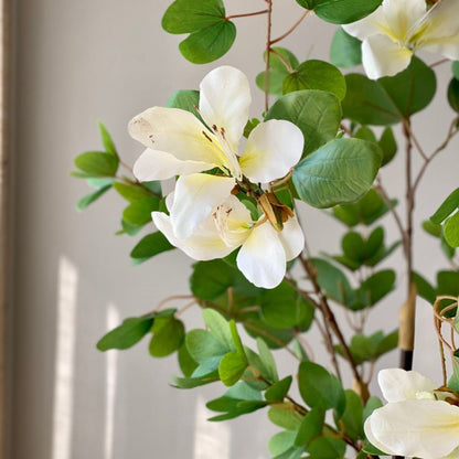 Artificial White & Green Bauhinia Plant Without Pot | 5 Feet