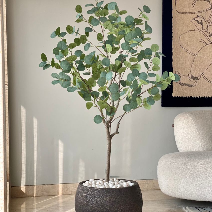 Artificial Green Bespoke Eucalyptus Plant Without Pot | 5 Feet