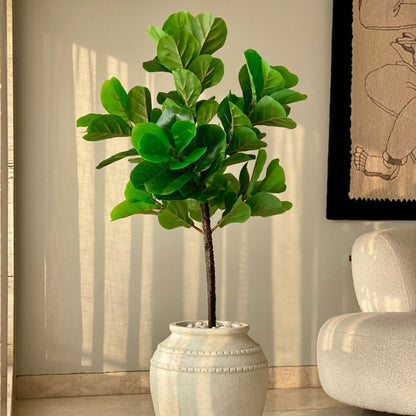 Artificial Green Fiddle Fig Plant Without Pot | 4.5 Feet