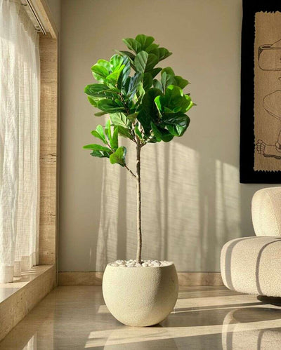 Artificial Fiddle Leaf Plant | 5 Feet | Pot not included