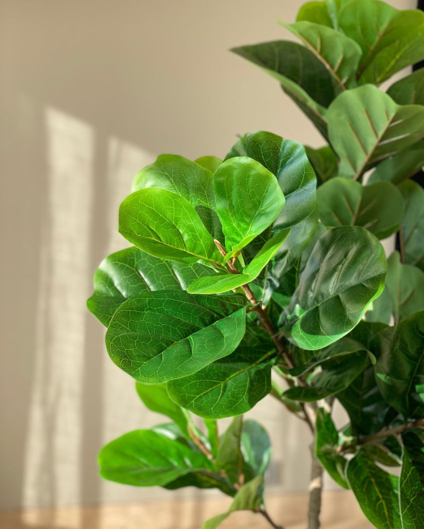Artificial Fiddle Leaf Plant | 5 Feet | Pot not included