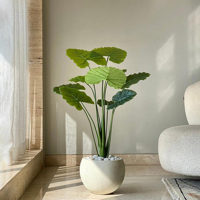 Lifelike Artificial Lush Alocasia Plant Without Pot | 3.6 Feet
