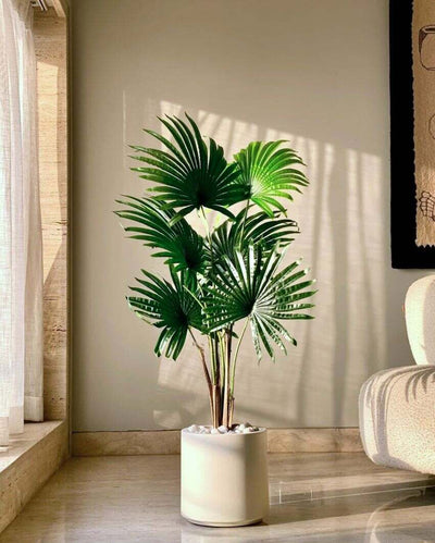 Artificial Palmetto Plant | Pot not included