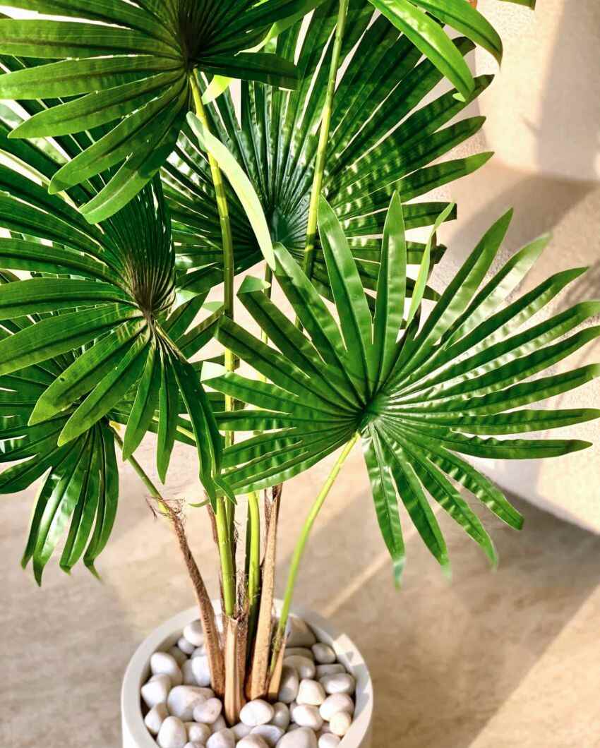 Artificial Palmetto Plant | Pot not included