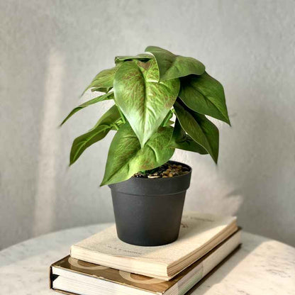 Lifelike Green Pothos Artificial Indoor Plant Without Pot | 4 x 8 inches