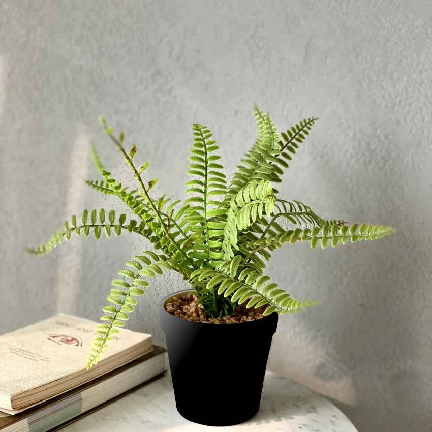 Artificial Green Fern Bush Indoor Plant With Pot | 4 x 12 inches