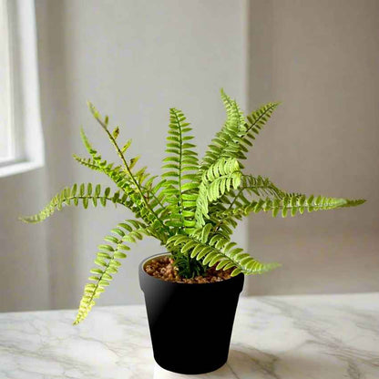 Artificial Green Fern Bush Indoor Plant With Pot | 4 x 12 inches